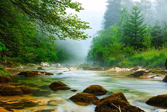 Middle Tennessee land for sale